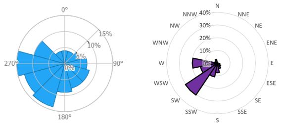 Rose for thunderstorm direction
