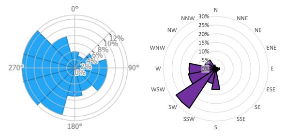 Rose for thunderstorm direction