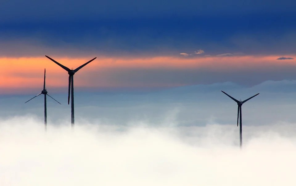 Foggy conditions around an offshore wind farm