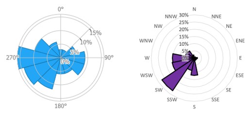 Rose for thunderstorm direction