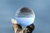 Image of sea and crystal ball